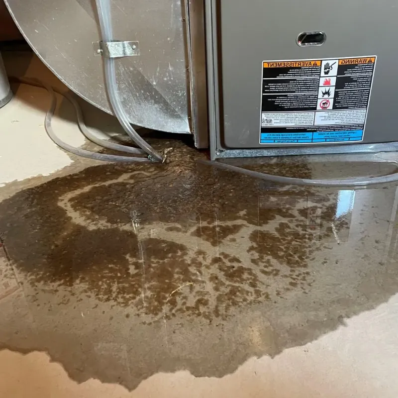 Pipe Burst and Leak Restoration in Fairmount Heights, MD